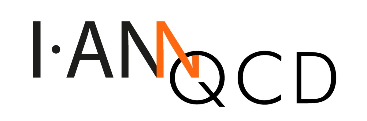 IANNQCD